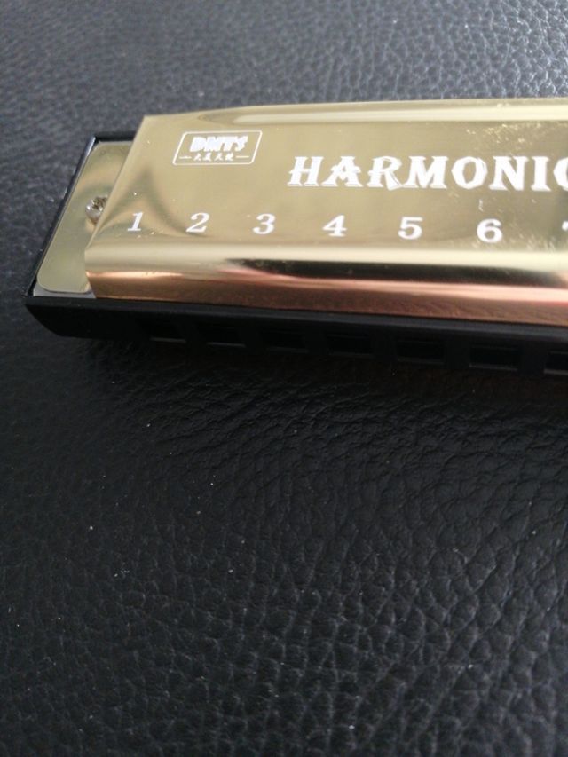 Armonica 10 holeDMTS professional