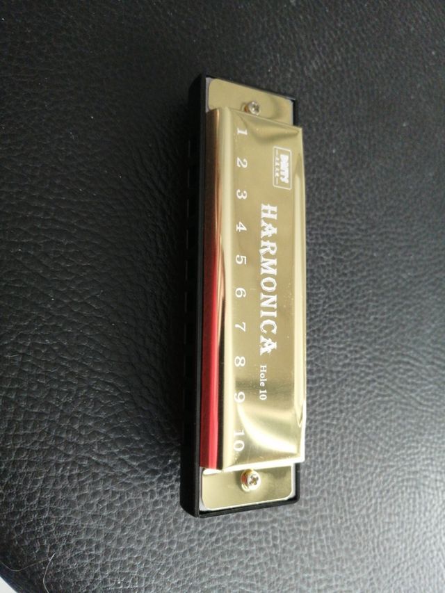 Armonica 10 holeDMTS professional