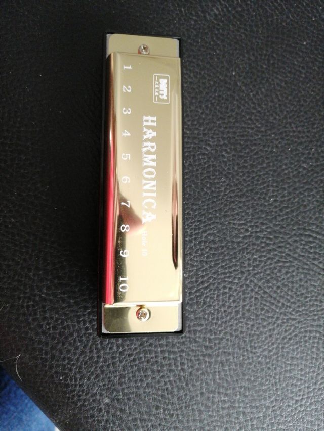 Armonica 10 holeDMTS professional