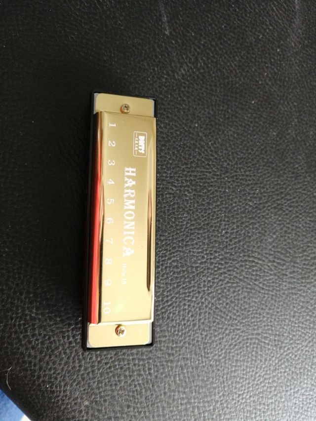 Armonica 10 holeDMTS professional