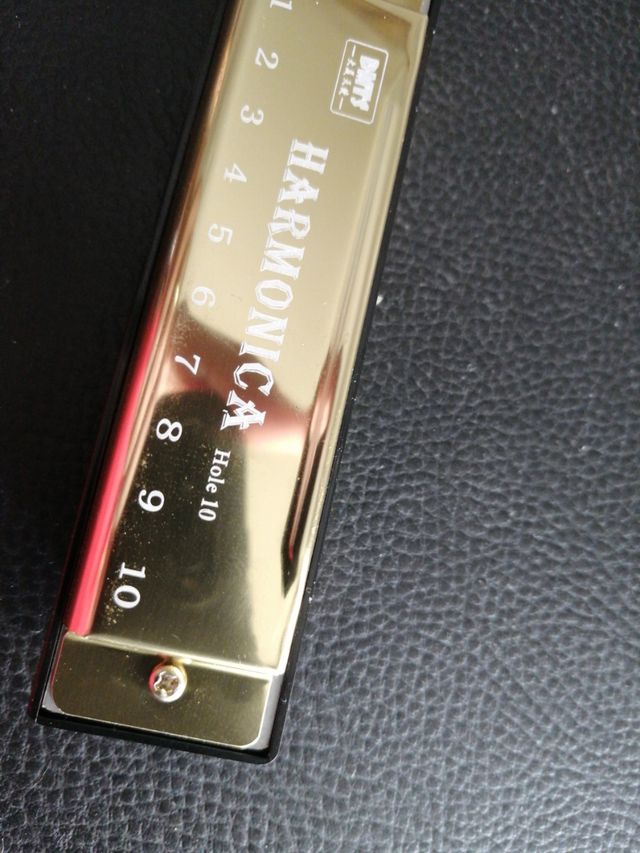 Armonica 10 holeDMTS professional