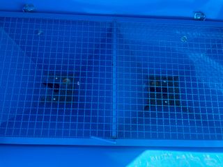 abonadoras a la toma de fuerza nuevas