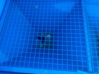 abonadoras a la toma de fuerza nuevas