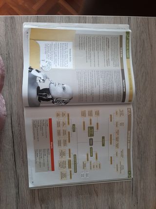 Libro filosofía oxford educación