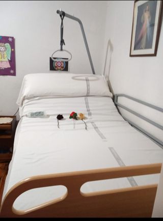 Cama articulada hospitalaria
