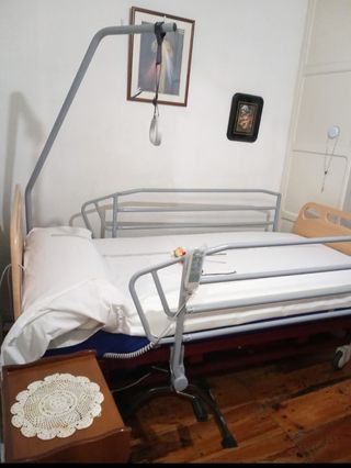 Cama articulada hospitalaria