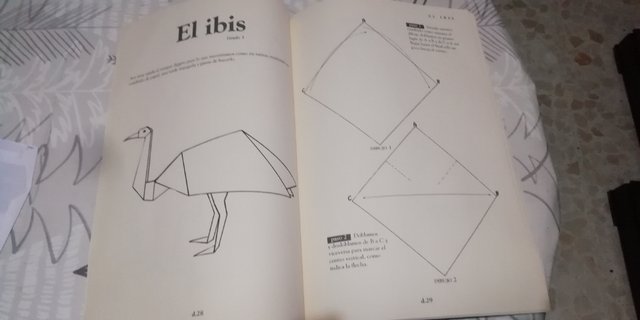 Libro sulla papiroflexia
