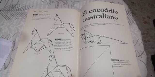 Libro sulla papiroflexia