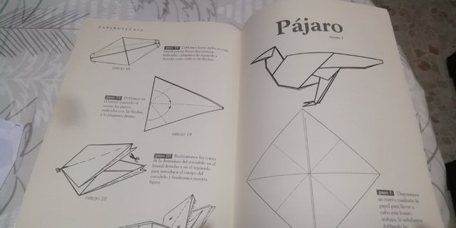 Libro sulla papiroflexia