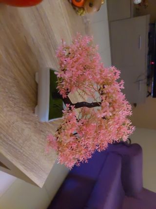 Pianta finta decorativa