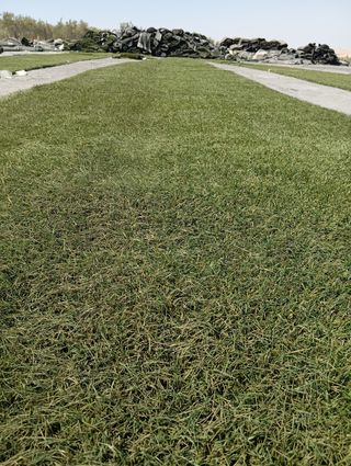 Césped artificial reciclados 🌿