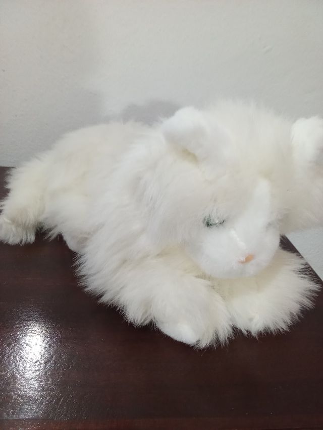 Gato de peluche