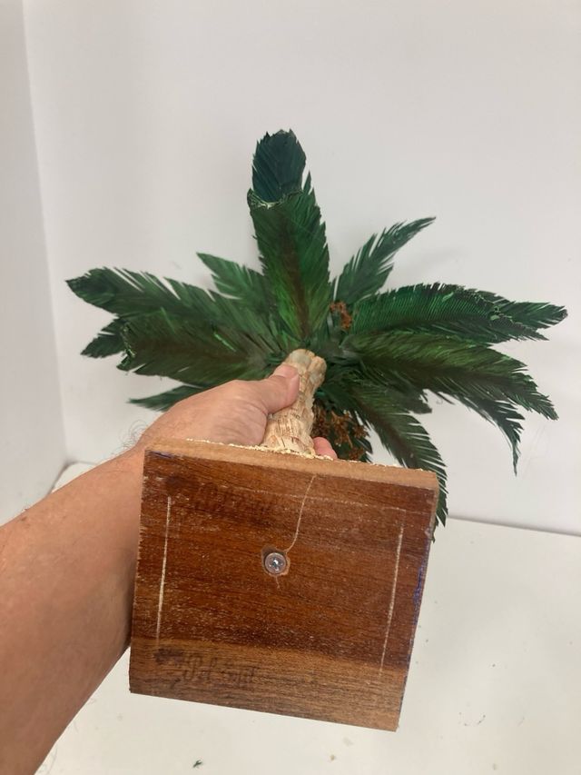palmera  para el belen