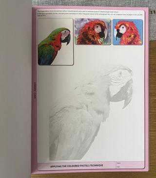 Libro plastica inglés 1 eso editorial donostiarra 
