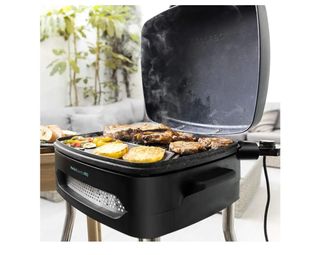 Barbacoa para exterior y interior Nueva 