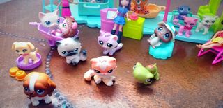 Clínica veterinaria Polly Pocket