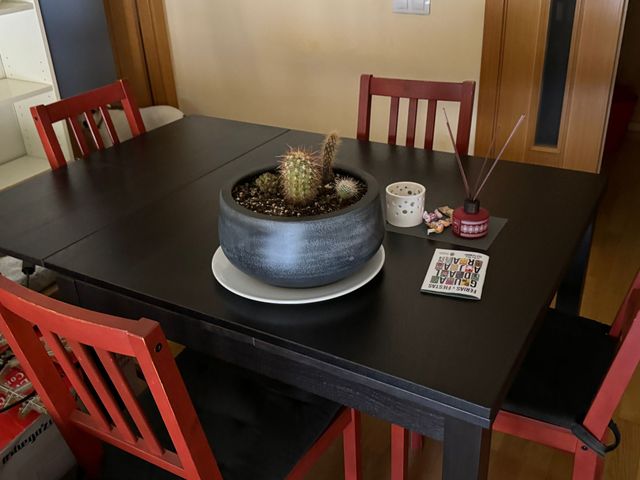 Mesa salón y sillas