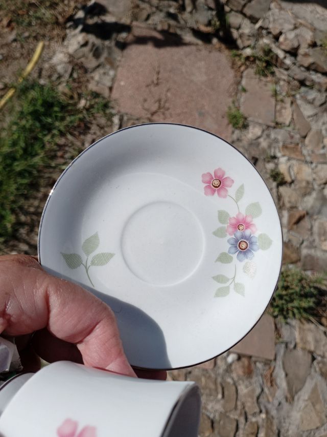 6 tazzine porcellana vintage