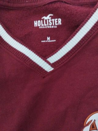 Sudadera Hollister 
