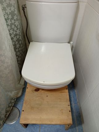 Escalón infantil de aprendizaje wc