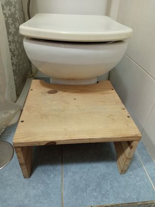 Escalón infantil de aprendizaje wc