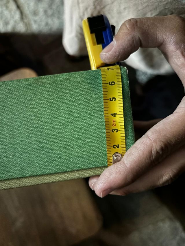 Cuadro con mariposas y escarabajos