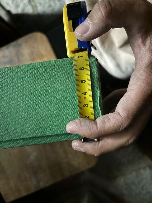 Cuadros mariposas escarabajos y libélulas