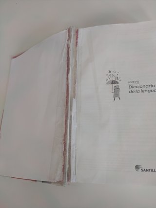 Diccionario escolar Santillana