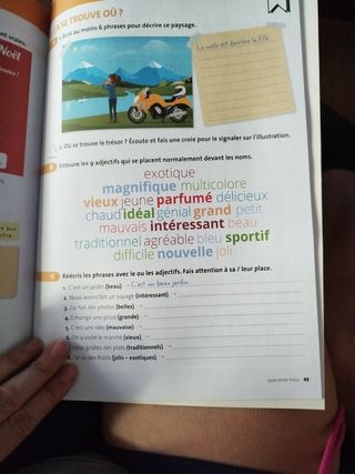 Libro texto francés