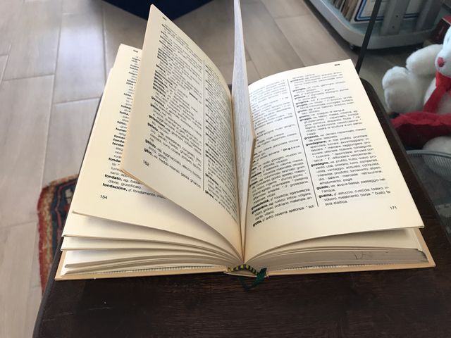 DIZIONARIO CAPPELLI DEI SINONIMI E DEI CONTRARI