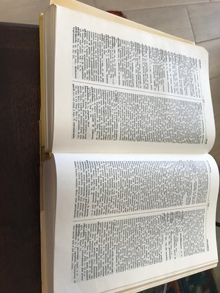 IL VOCABOLARIO DELLA LINGUA LATINA - ED. LOESCHER