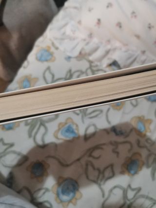 Amor revólver Loreto sesma