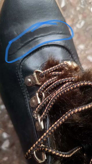 Botines de invierno 