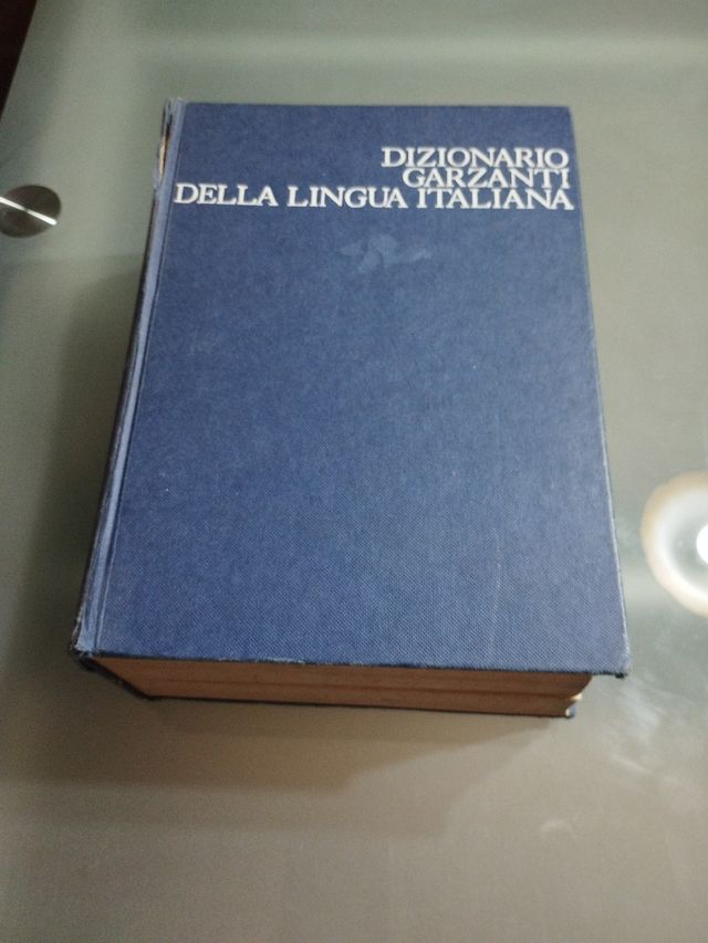 Dizionario 