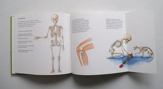 Libro CONOZCAMOS NUESTRO CUERPO. Nuevo
