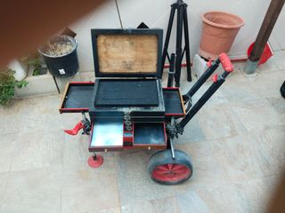 Carro de pesca 