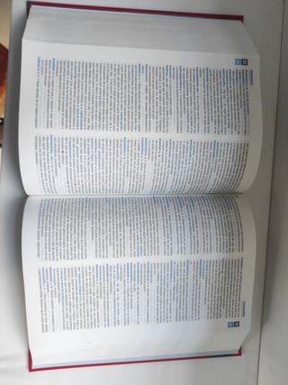 Diccionario Anaya Vox Secundaria & Bach