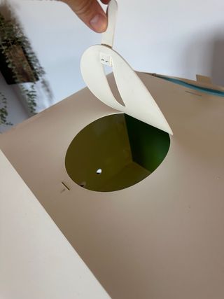 Caja luz fotografia pajaros