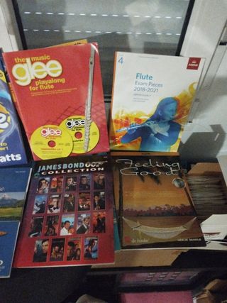 Playalongs flauta travesera partituras