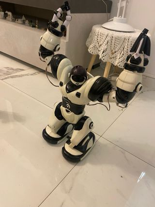 WowWee Robosapien