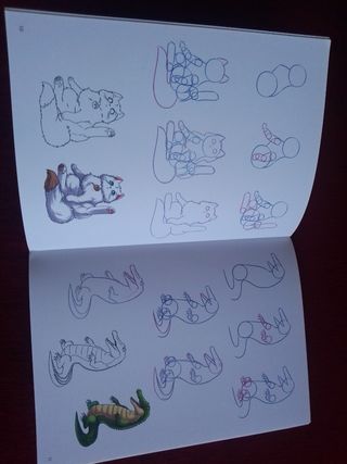 Libros cómo dibujar Manga Chibis