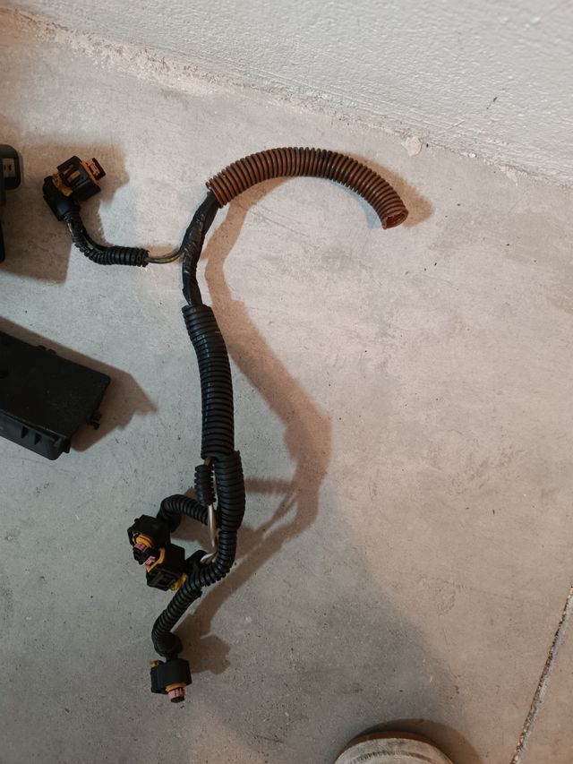 Arnes bobinas alfa 147