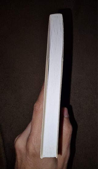 Amados cães de José Jorge Letria