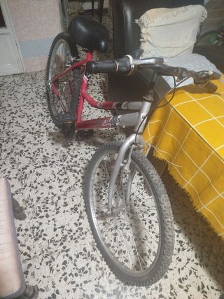Bicicleta 26" (Marca Globe trotter)
