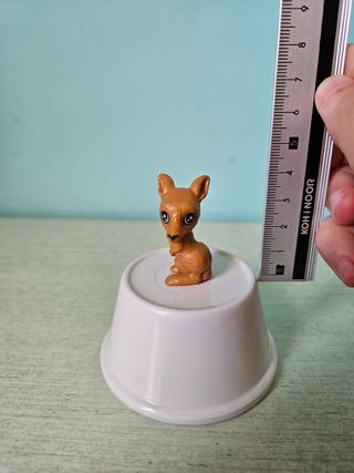 Animali Sorprese Kinder (12 pezzi)