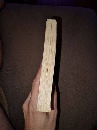 As melhores Histórias de Cães