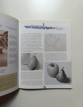 Dibujo. Curso de dibujo y pintura.