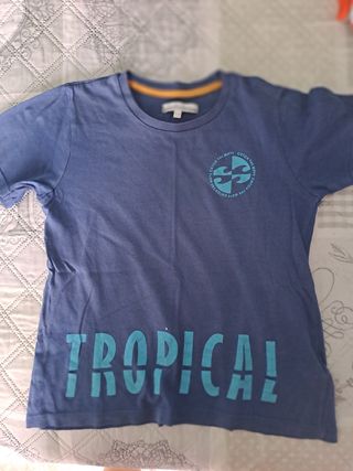 Magliette corte bimbo