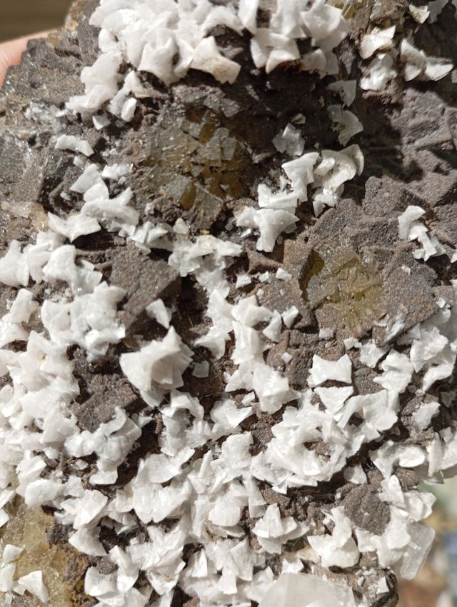 Fluorita con pirita y dolomita