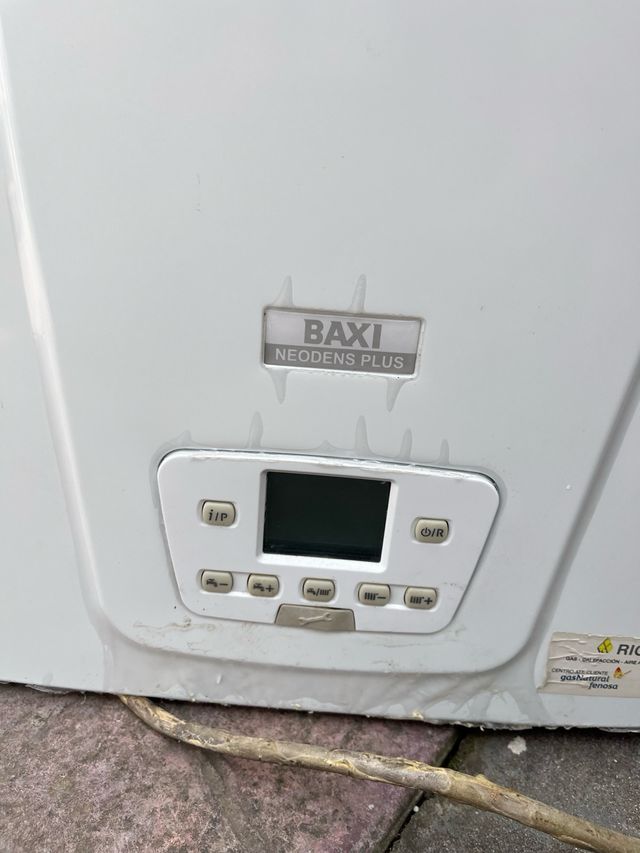 CALENTADOR DE GAS NATURAL